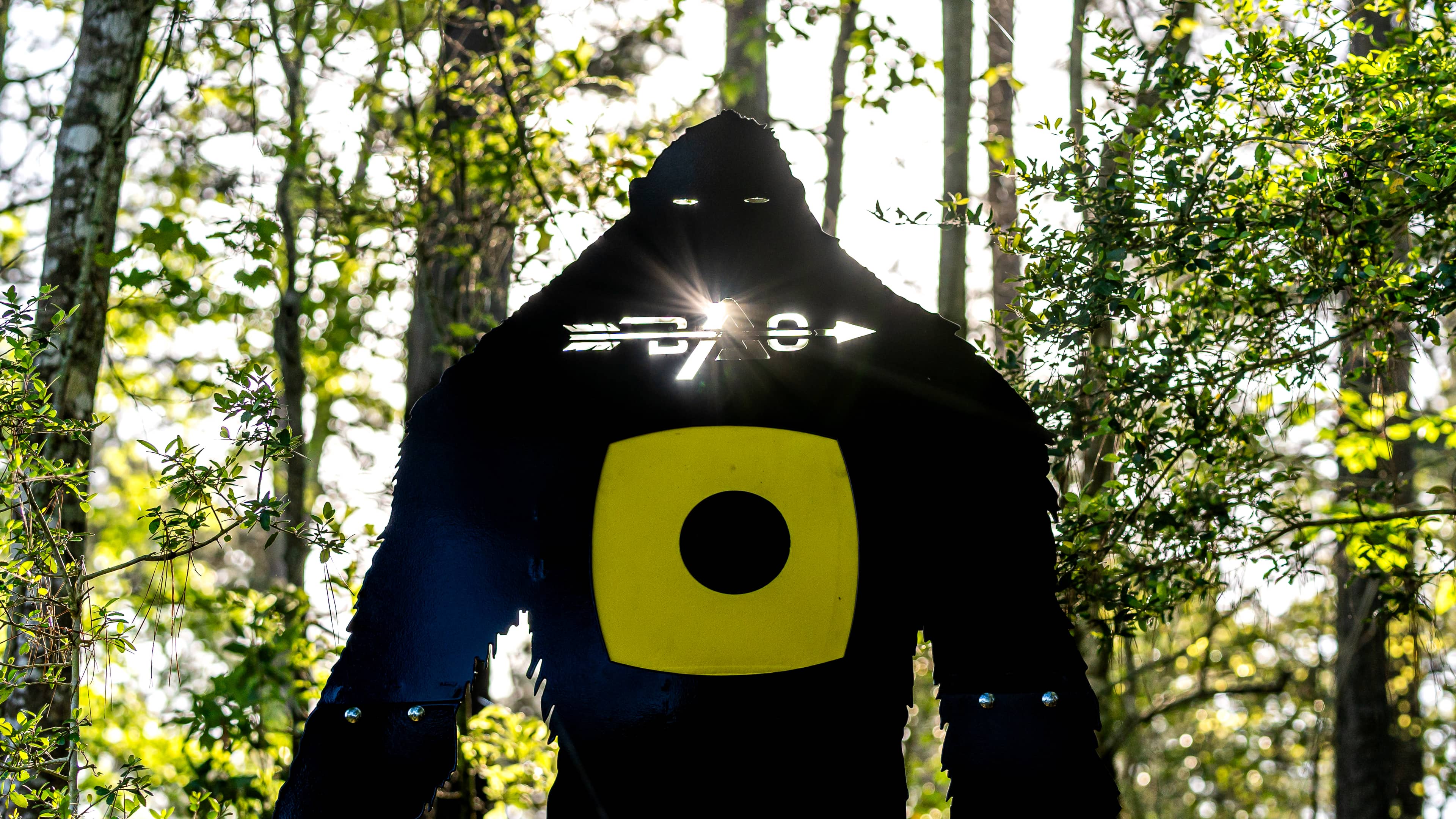 Team field test prep