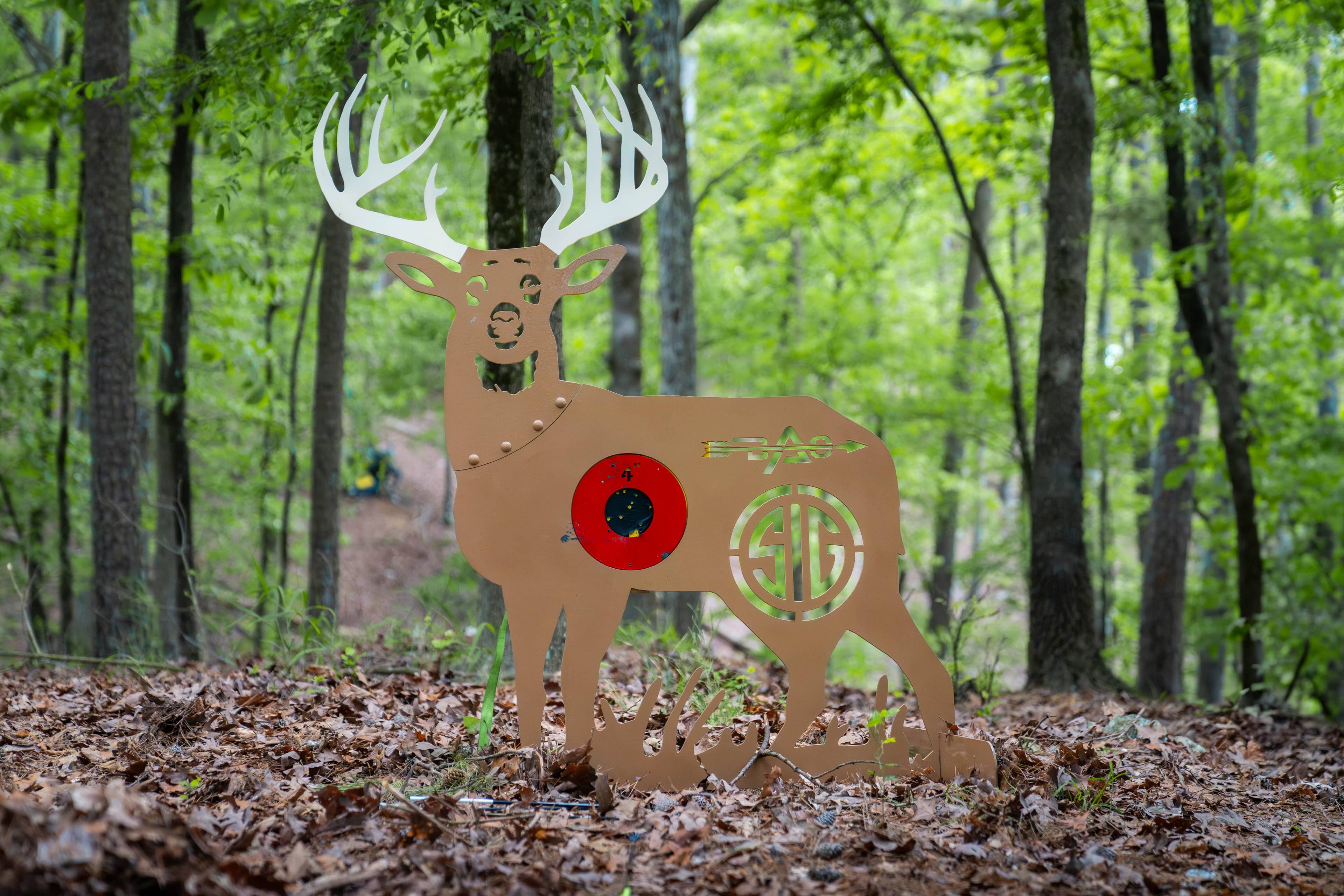 Steel target in field