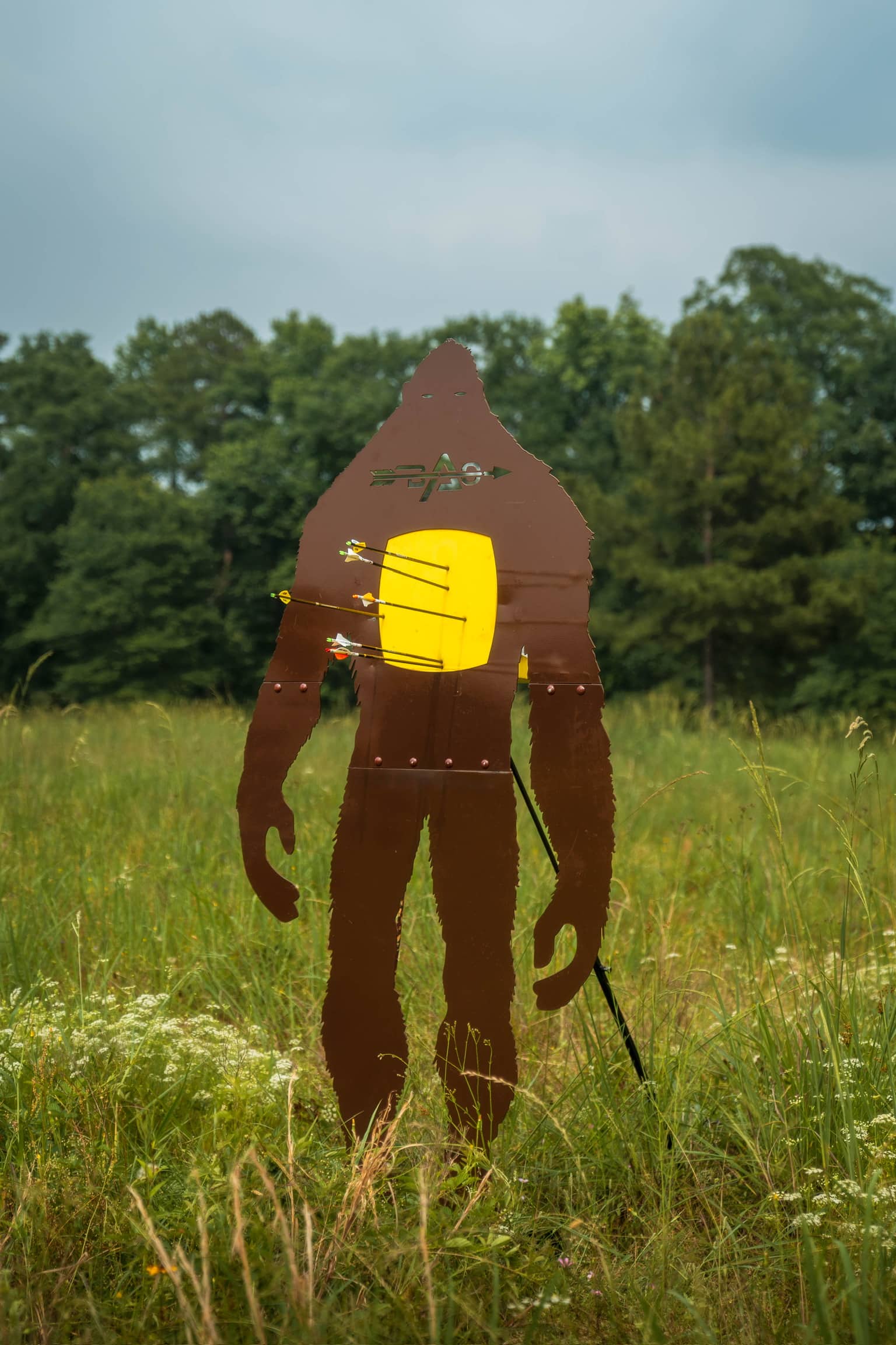 Target and range backdrop