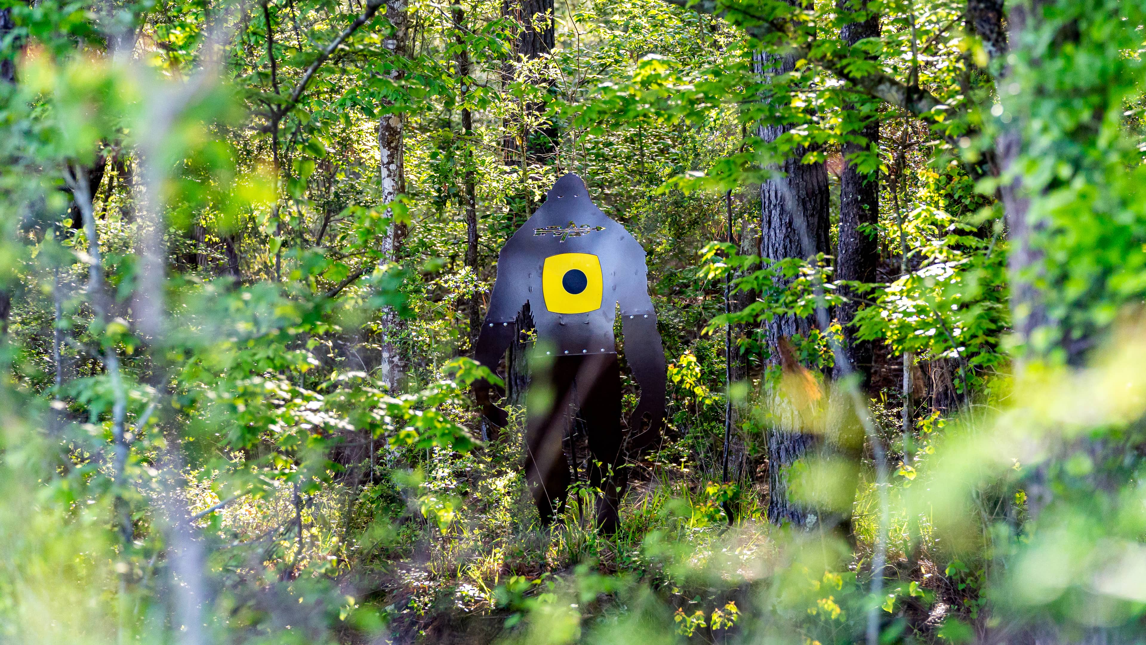 Customer target setup